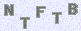 manual verify